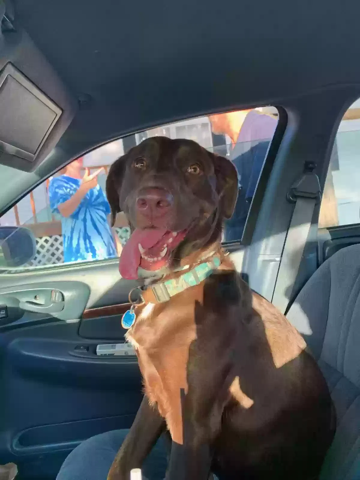 Lost dog in Sand Springs, OK, 74063