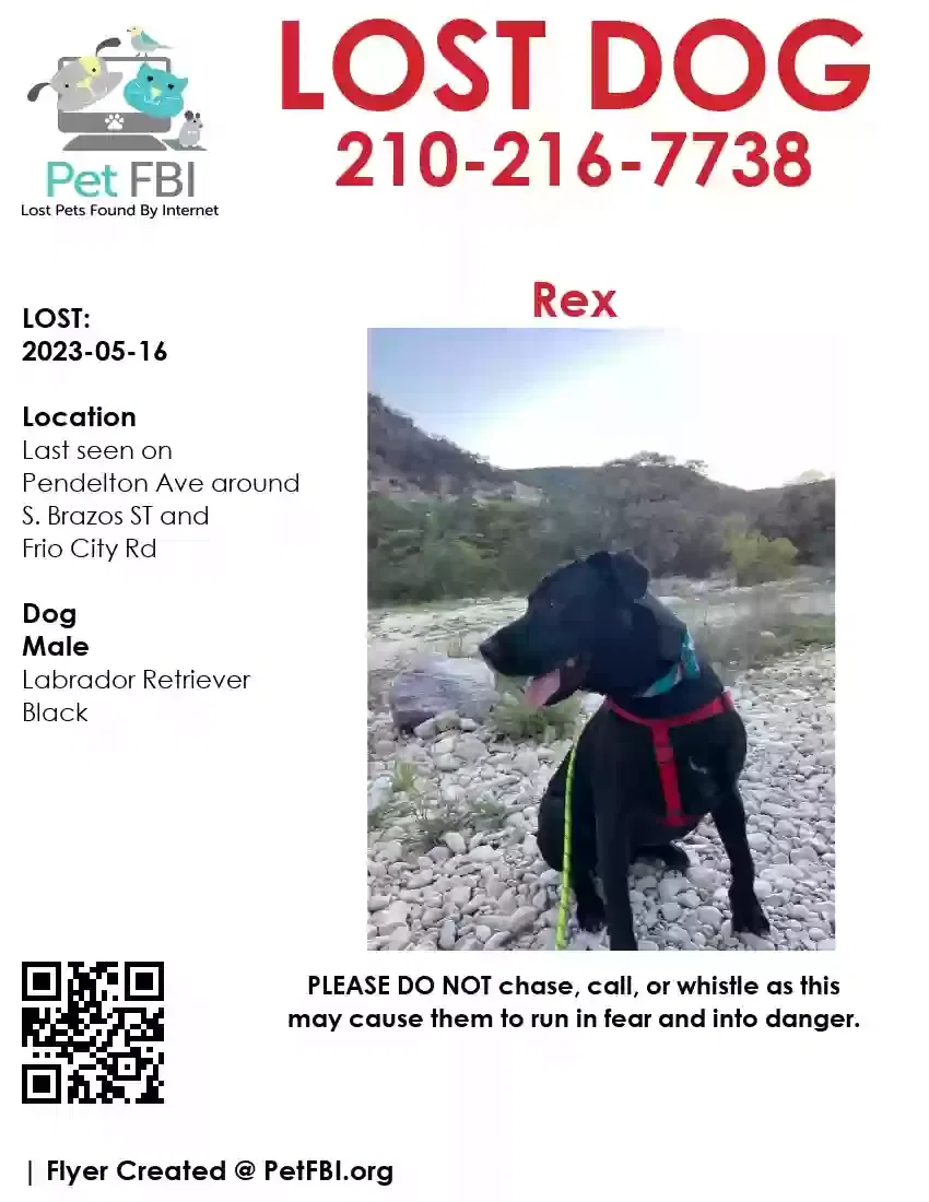 Lost dog in San Antonio, TX, 78204