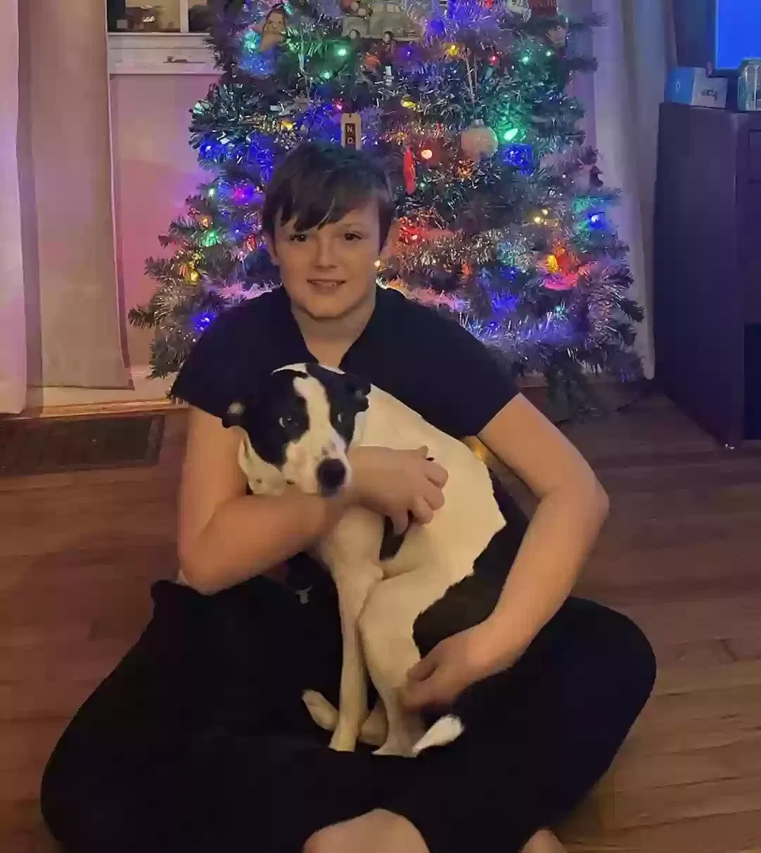 Lost dog in Goshen, OH, 45122