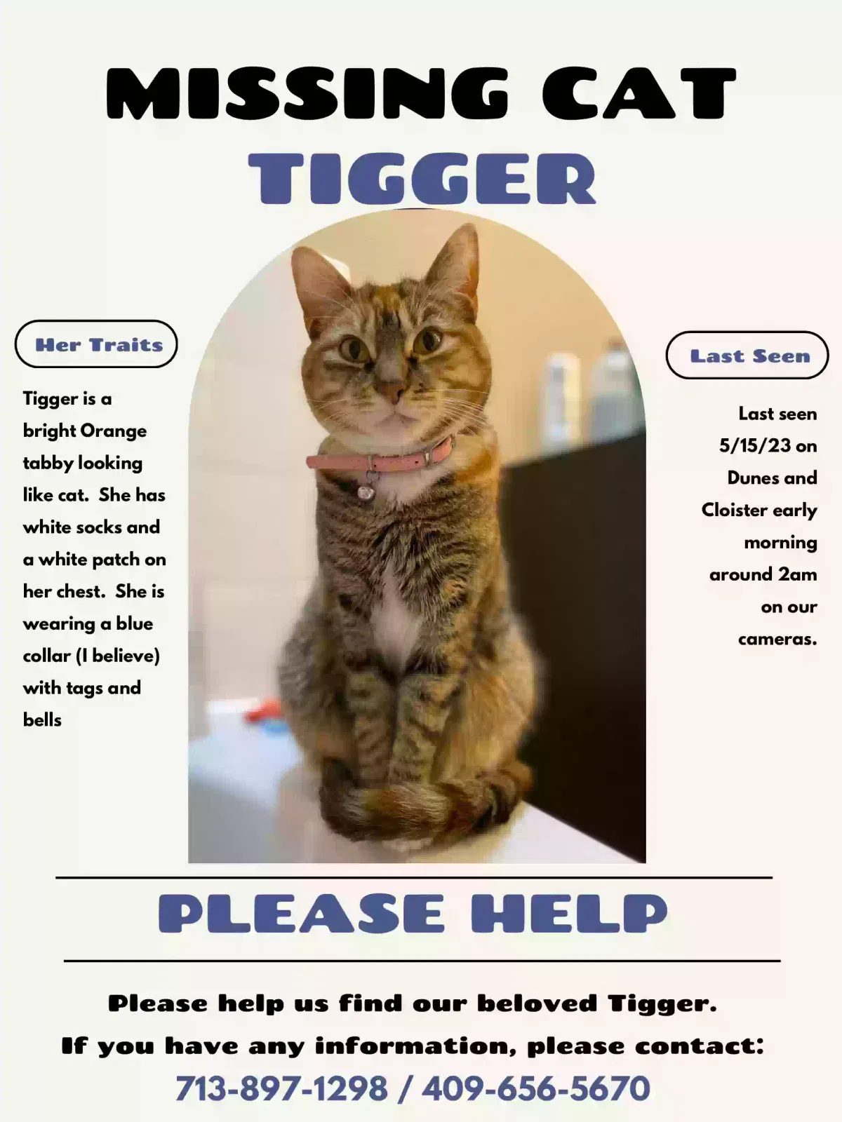 Lost cat in Crosby, TX, 77532