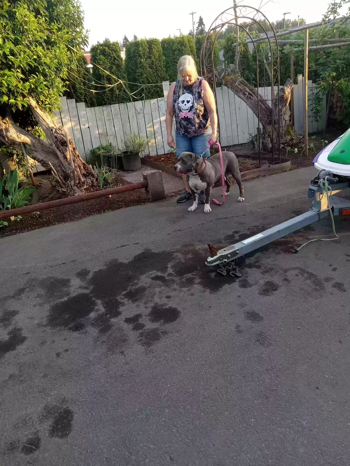 Found dog in Puyallup, WA, 98373