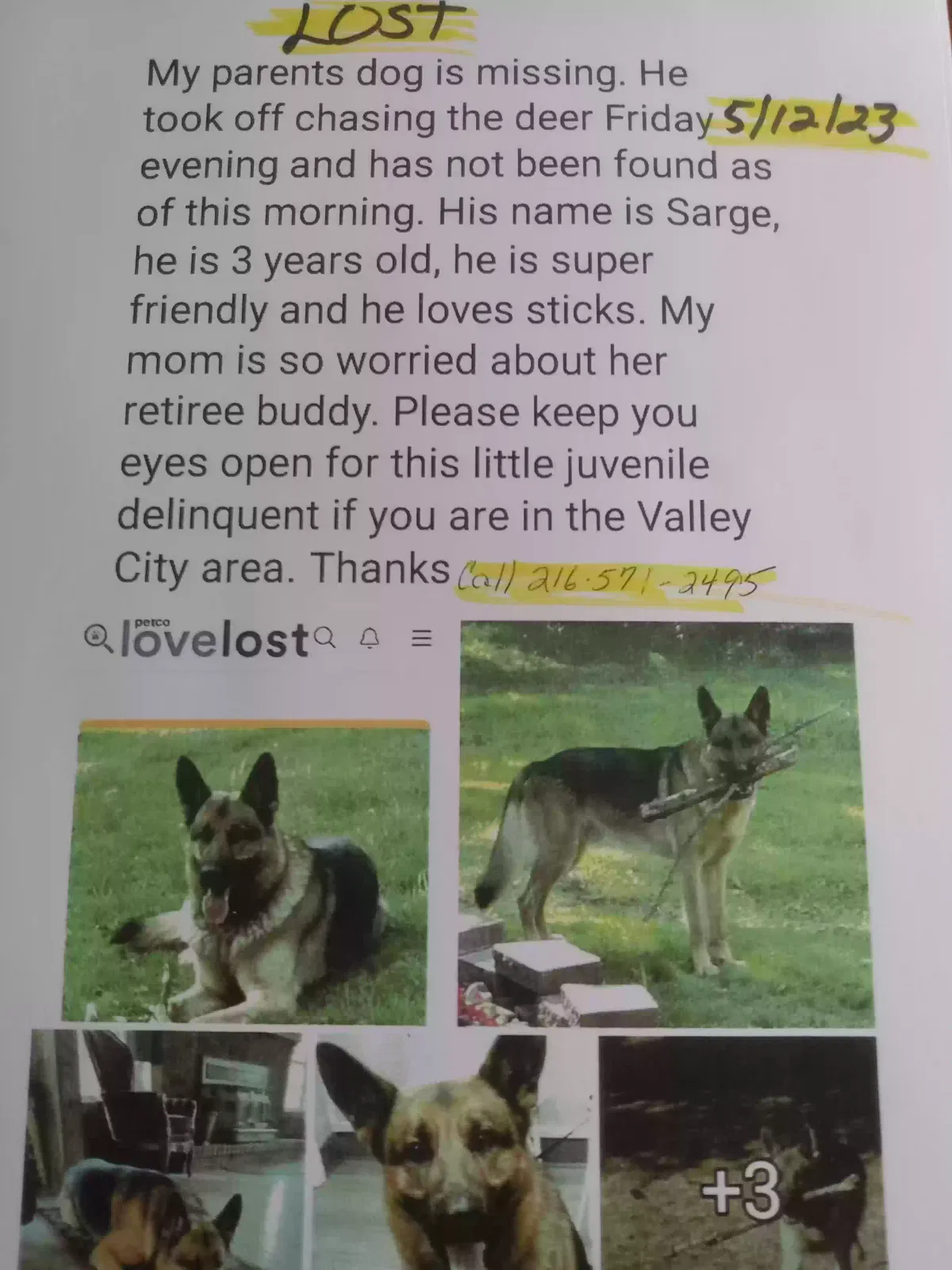 Lost dog in Valley City, OH, 44280