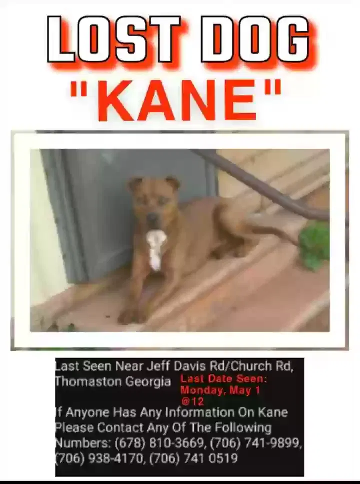 Lost dog in Thomaston, GA, 30286