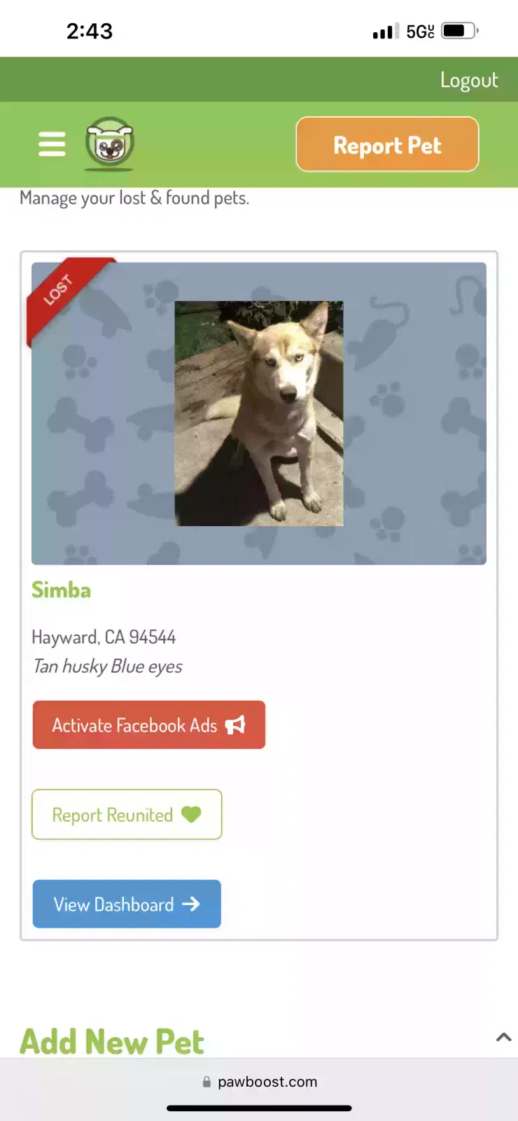 Lost dog in Hayward, CA, 94544