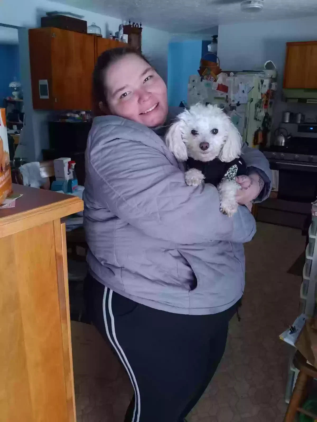 Lost dog in Rochester, NY, 14623