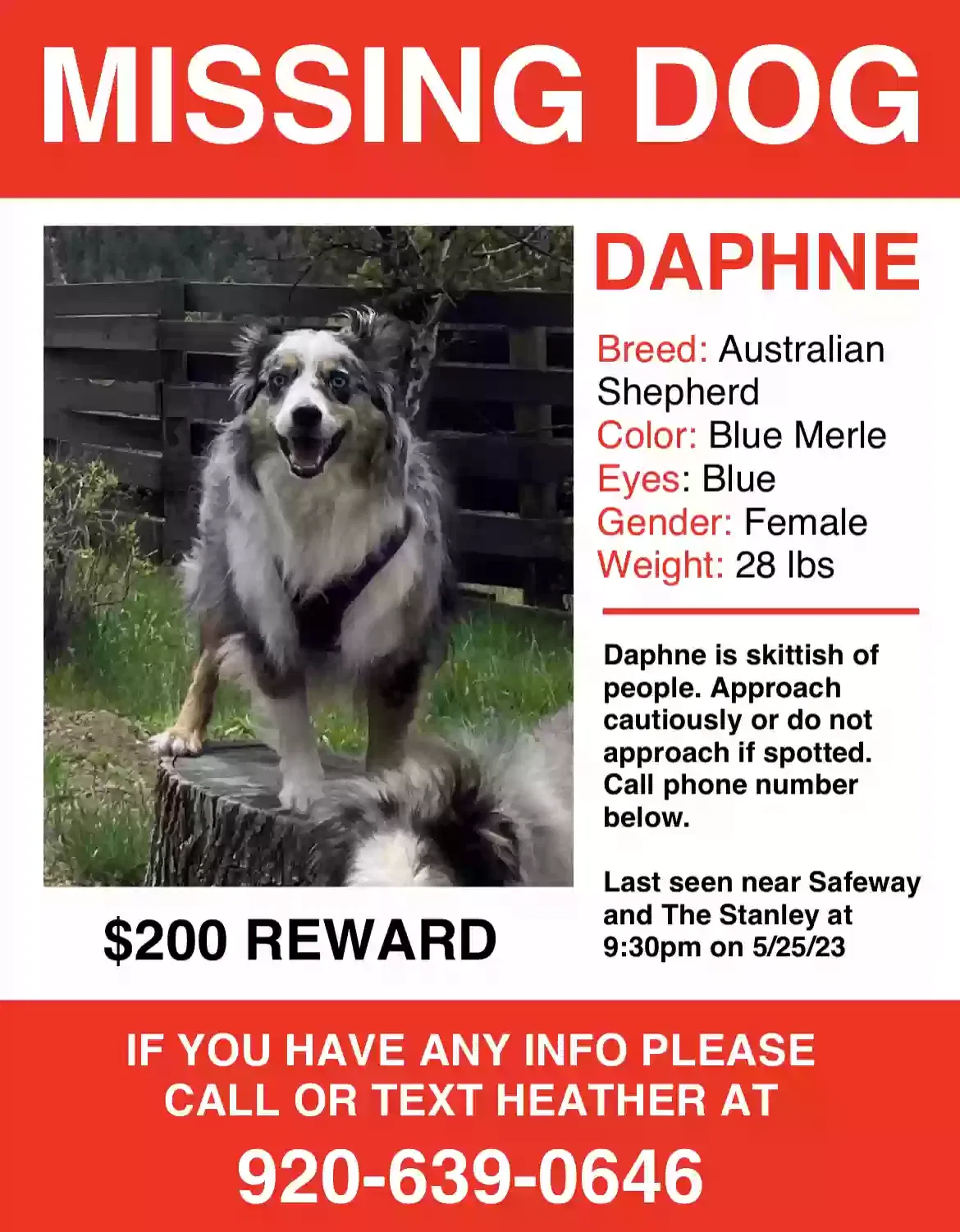 Lost dog in Estes Park, CO, 80517