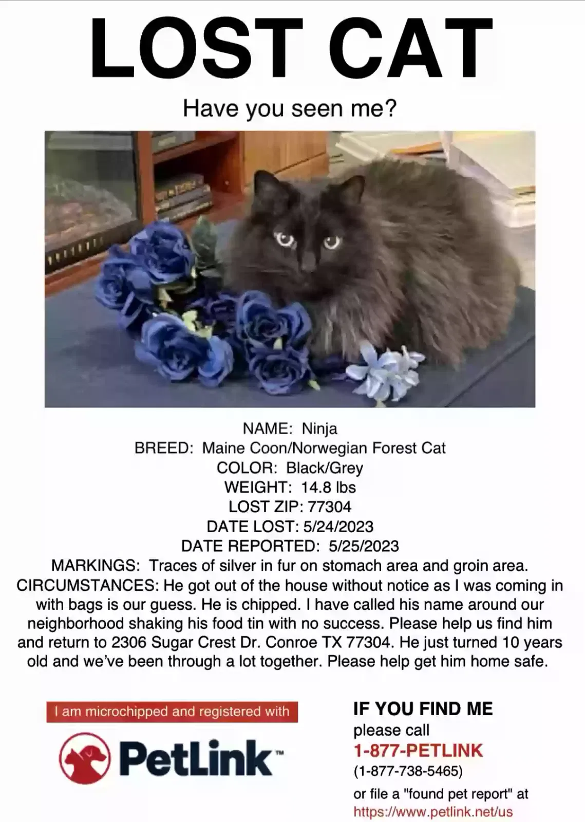 Lost cat in Conroe, TX, 77304
