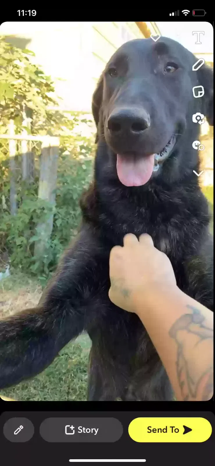 Lost dog in Oklahoma City, OK, 73108