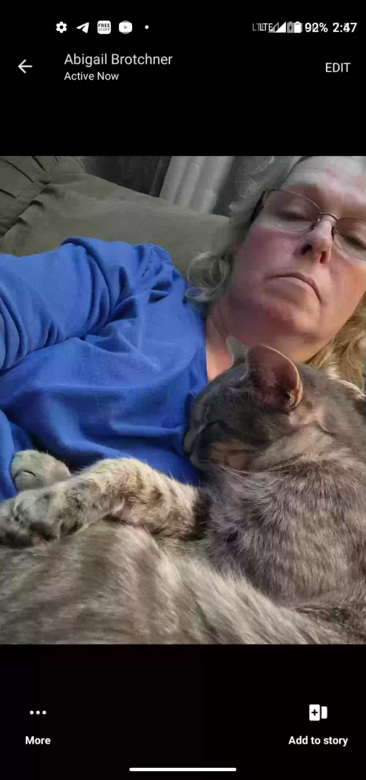 Lost cat in Indianapolis, IN, 46227