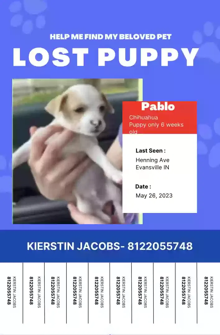 Lost dog in Evansville, IN, 47714