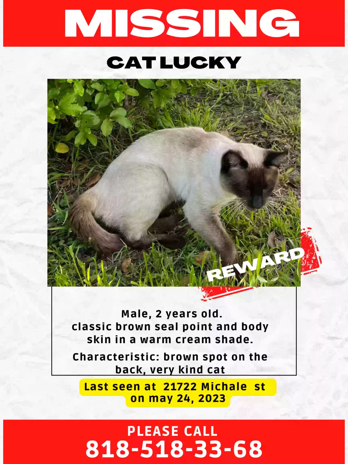 Lost cat in Canoga Park, CA, 91304