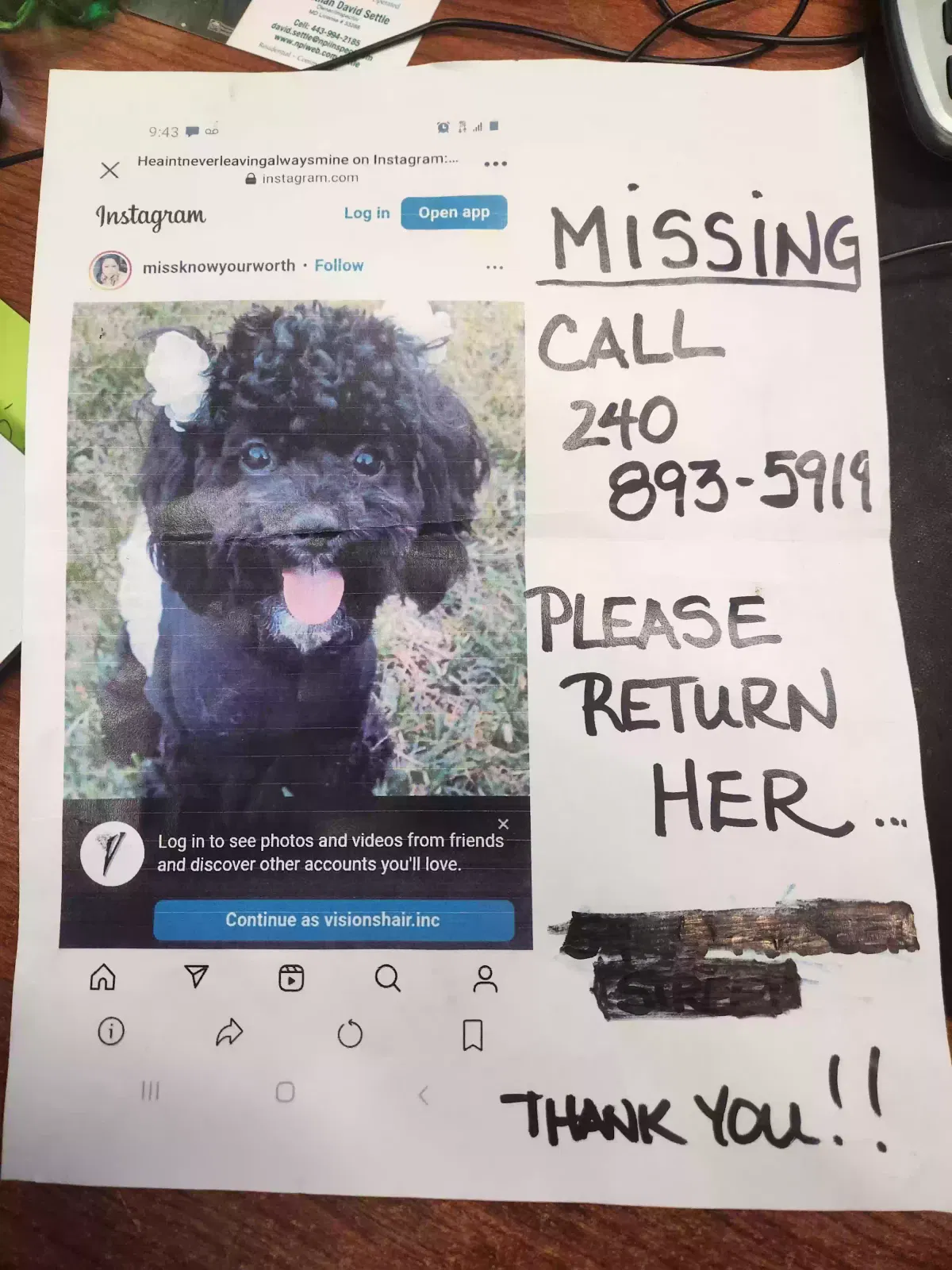 Lost dog in Hyattsville, MD, 20784