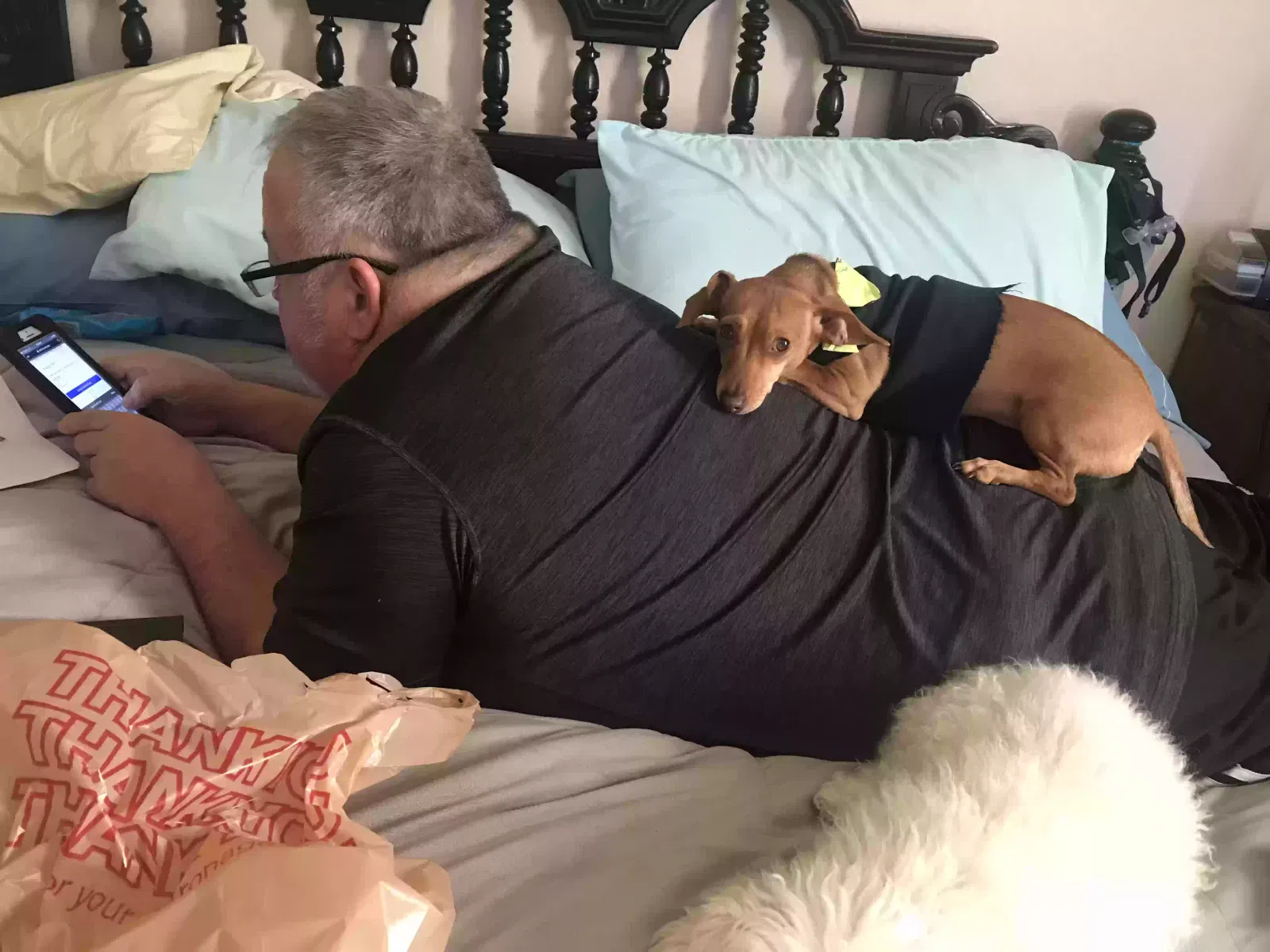 Lost dog in Portsmouth, VA, 23701