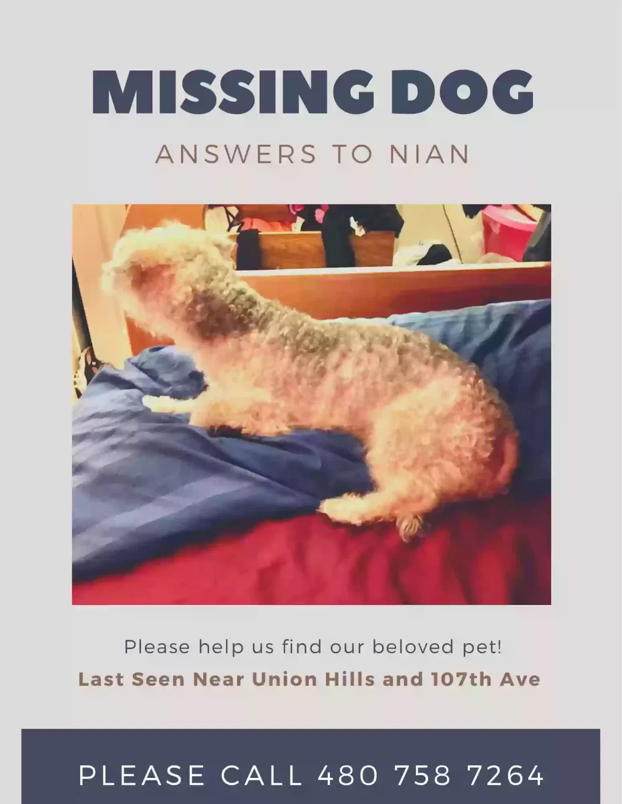 Lost dog in Surprise, AZ, 85378