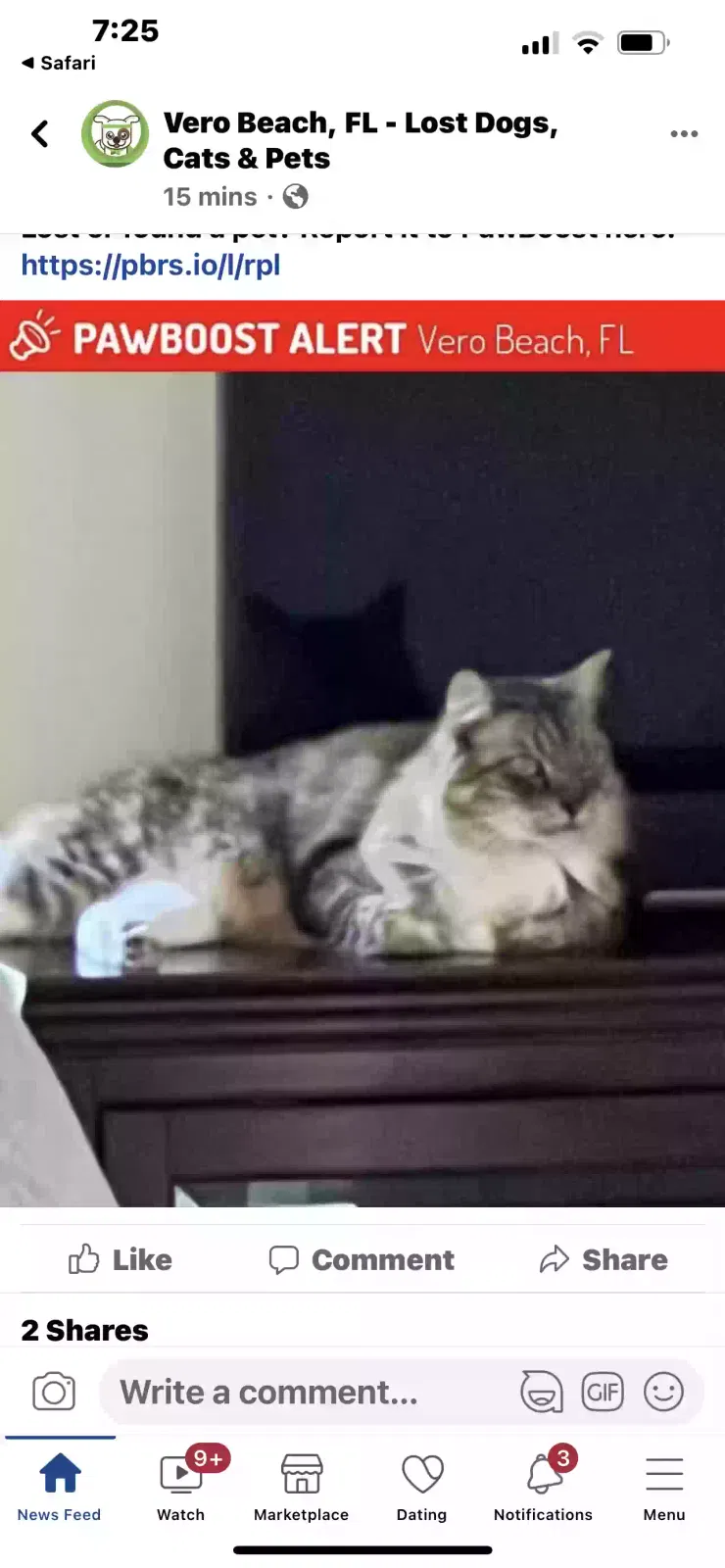 Lost cat in Vero Beach, FL, 32962