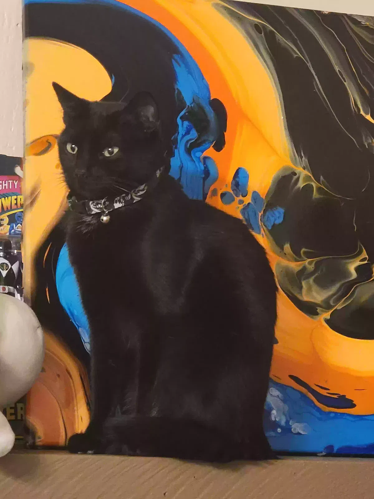 Lost cat in El Cajon, CA, 92019