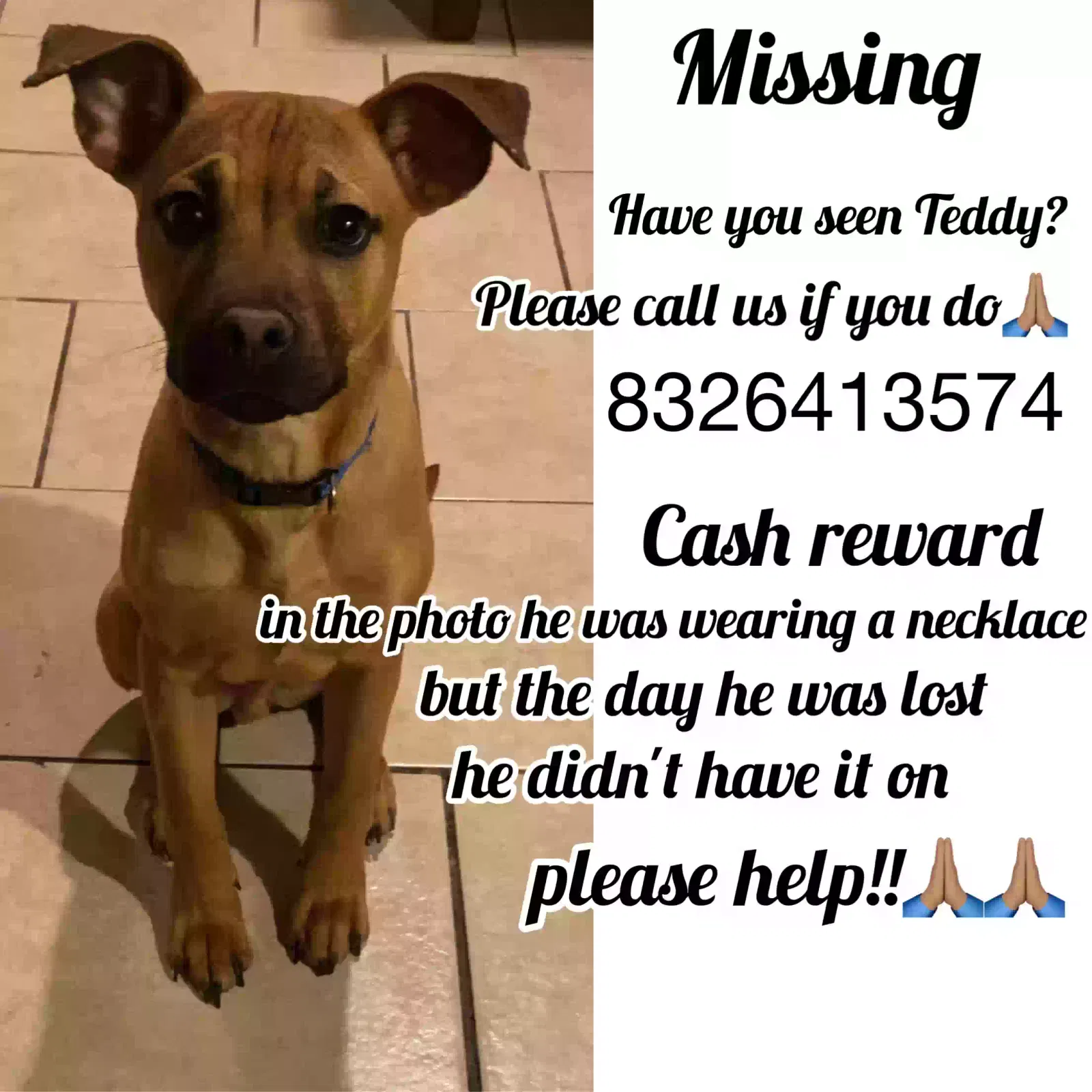 Lost dog in Cleveland, TX, 77327