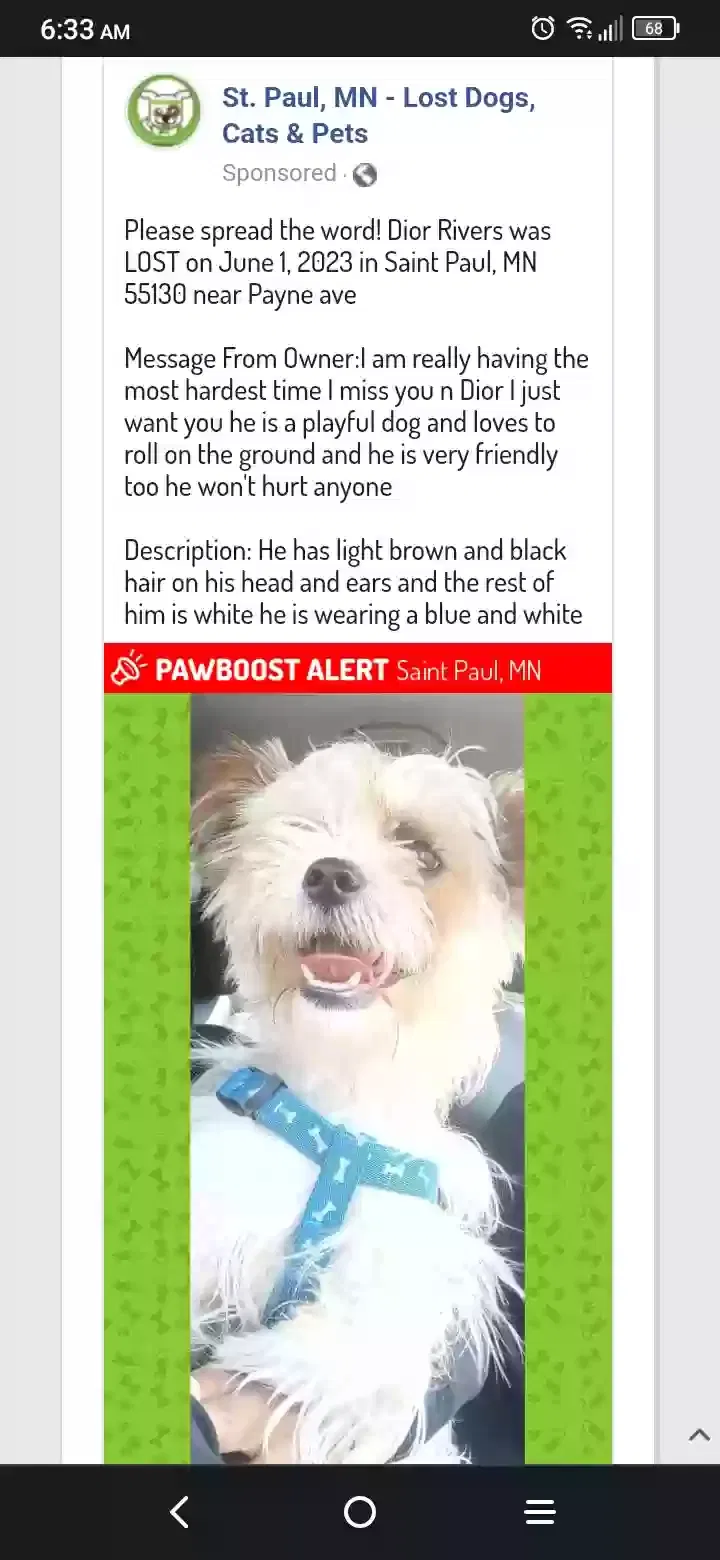 Lost dog in Saint Paul, MN, 55103