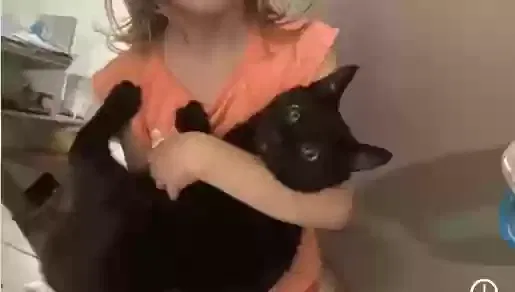 Lost cat in Madras, OR, 97741