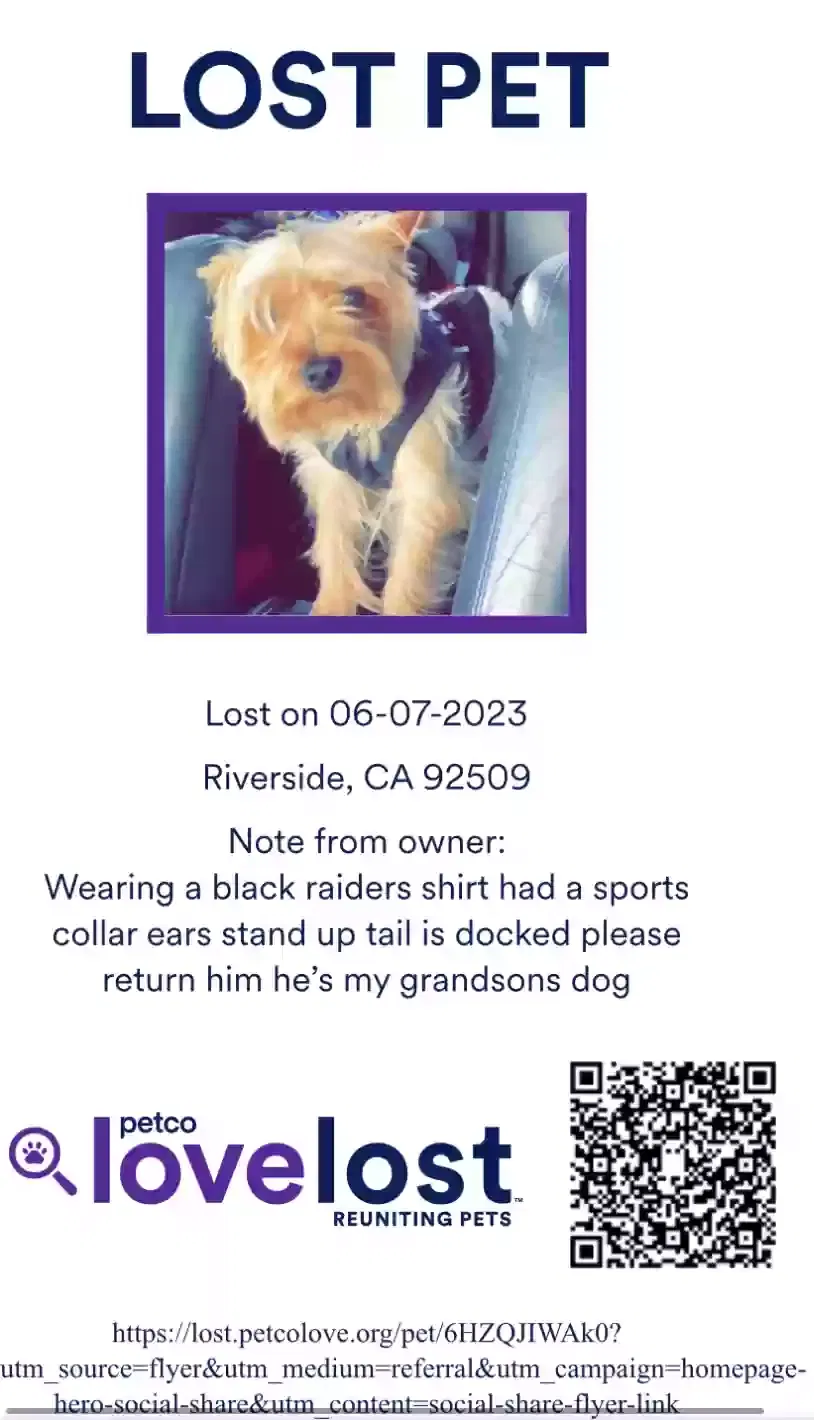 Lost dog in Riverside, CA, 92509