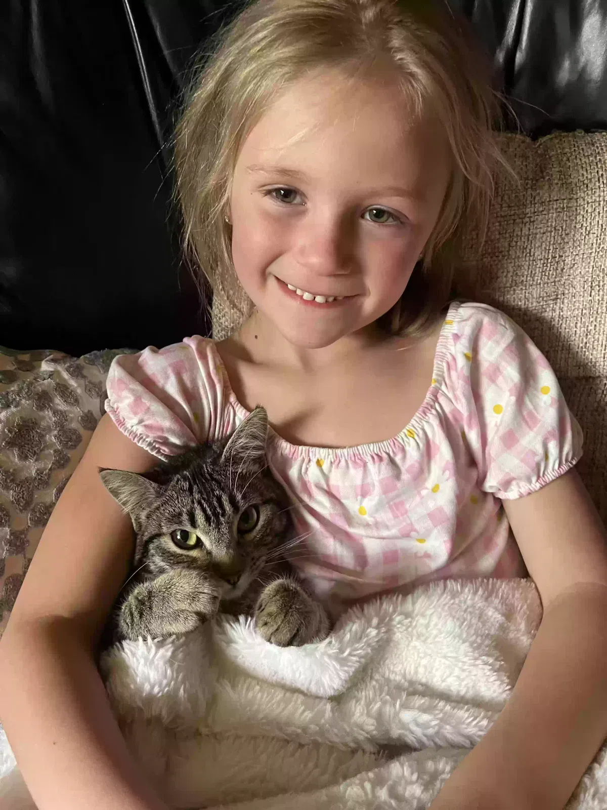 Lost cat in Escondido, CA, 92025