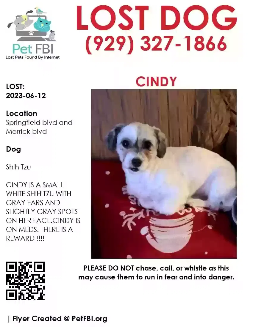 Lost dog in Springfield Gardens, NY, 11413