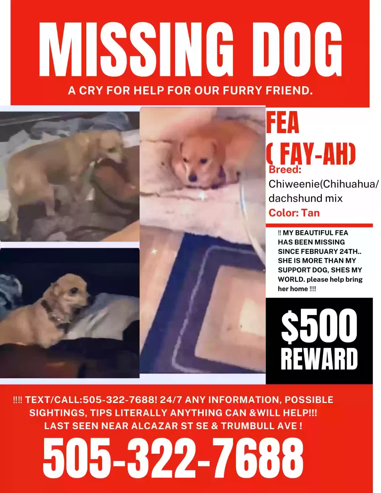 Lost dog in Albuquerque, NM, 87108