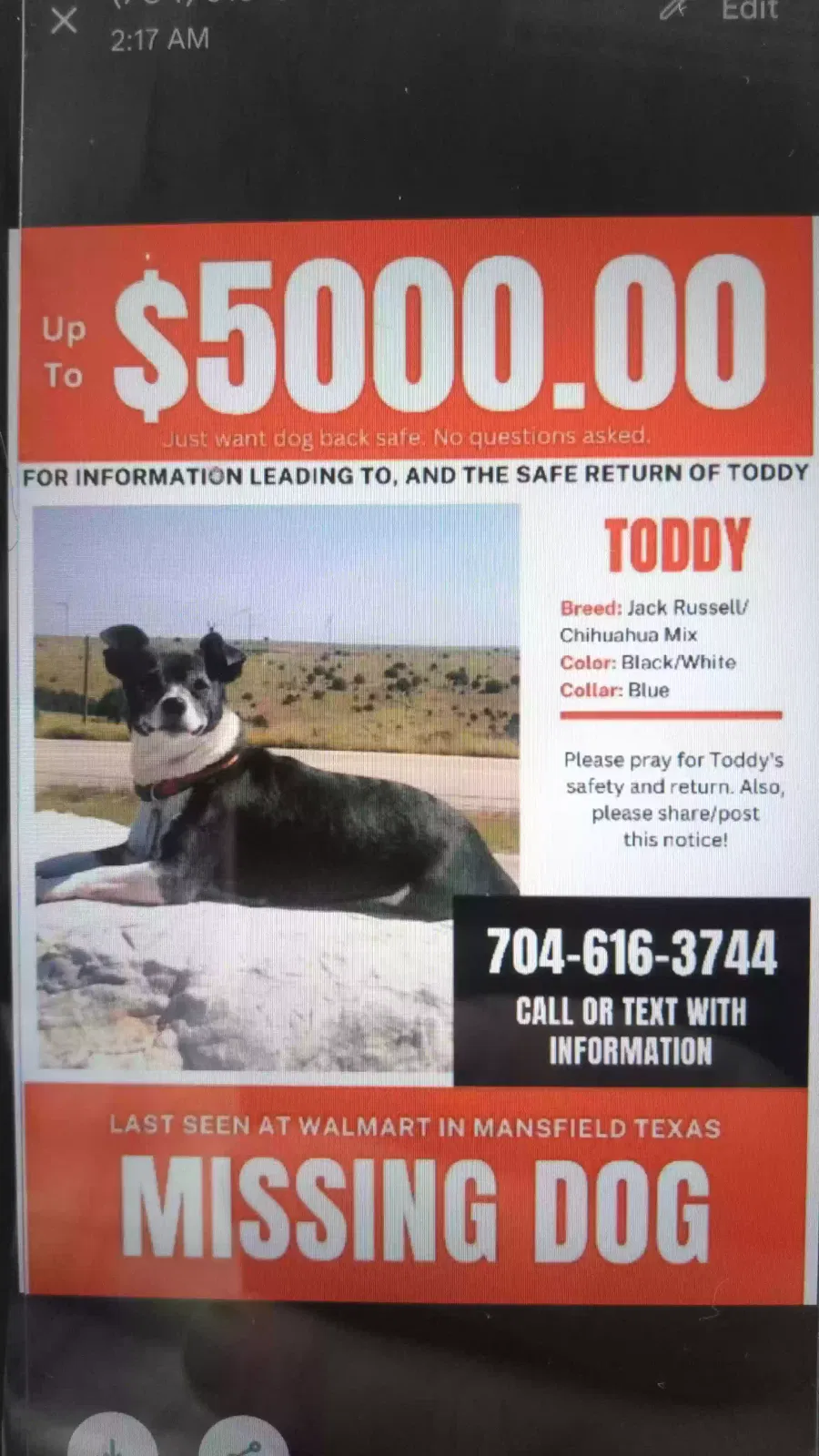Lost dog in Mansfield, TX, 76063