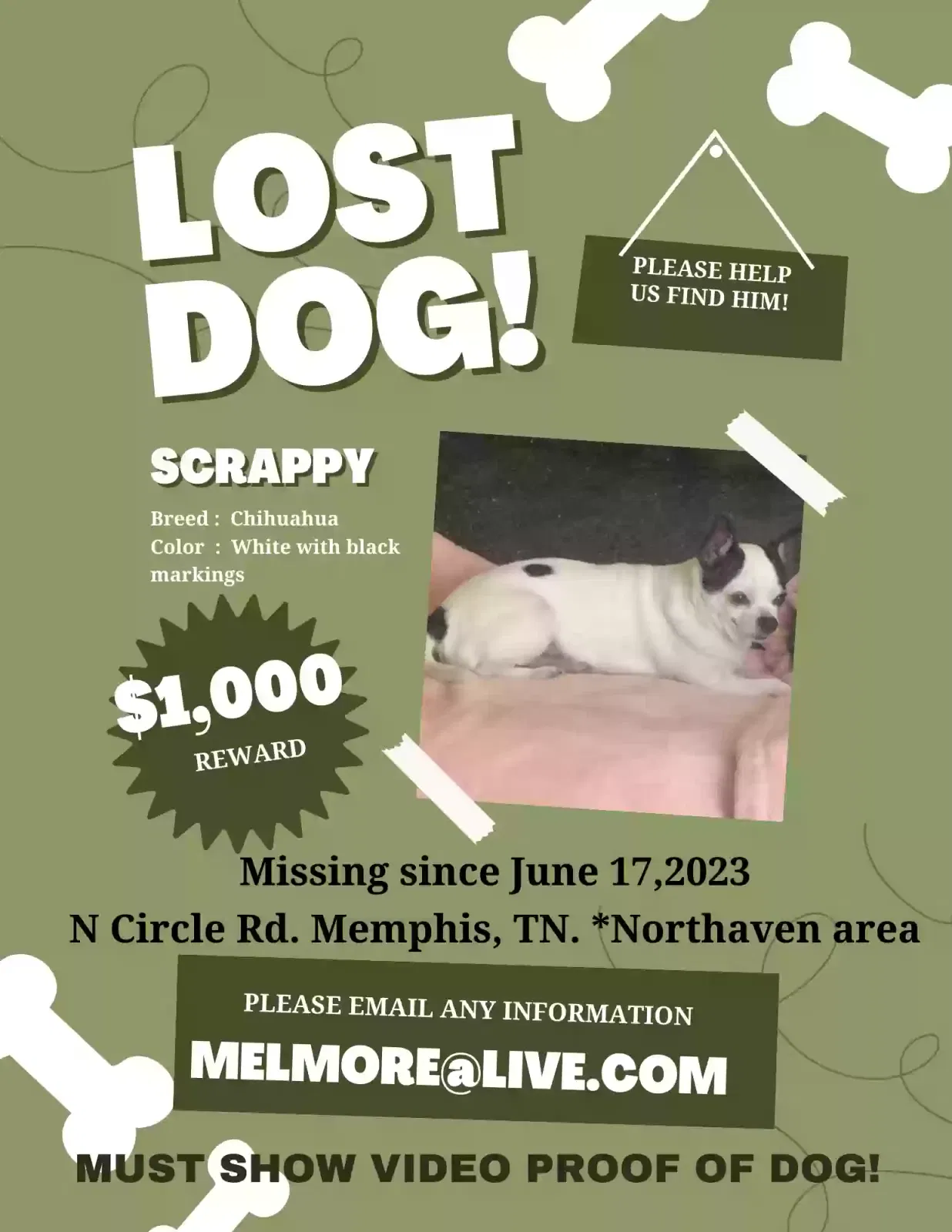 Lost dog in Memphis, TN, 38127