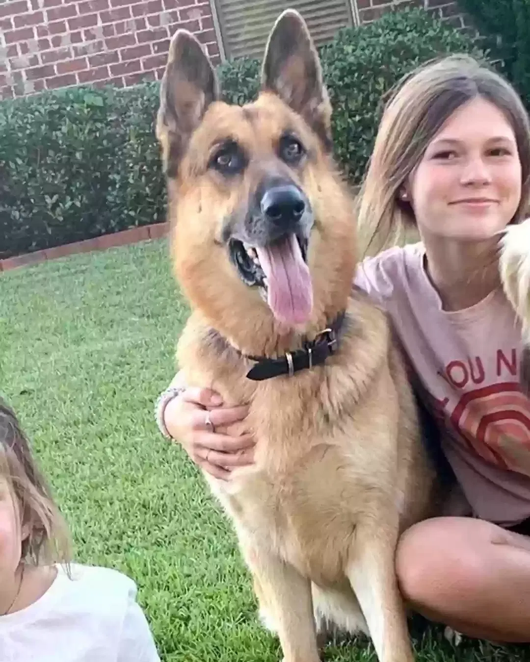 Lost dog in Fairhope, AL, 36532