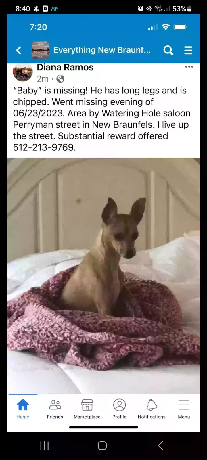 Lost dog in New Braunfels, TX, 78130