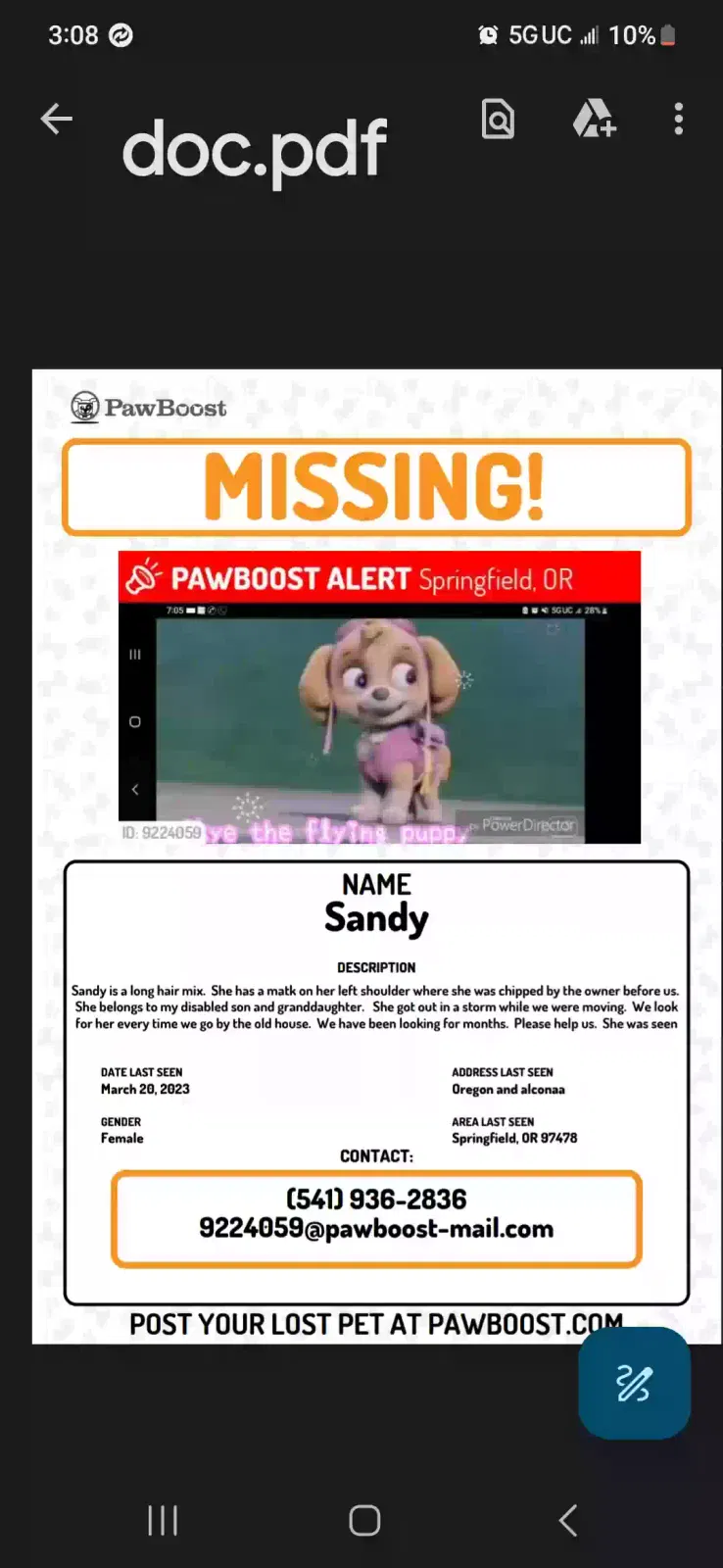 Lost dog in Springfield, OR, 97478