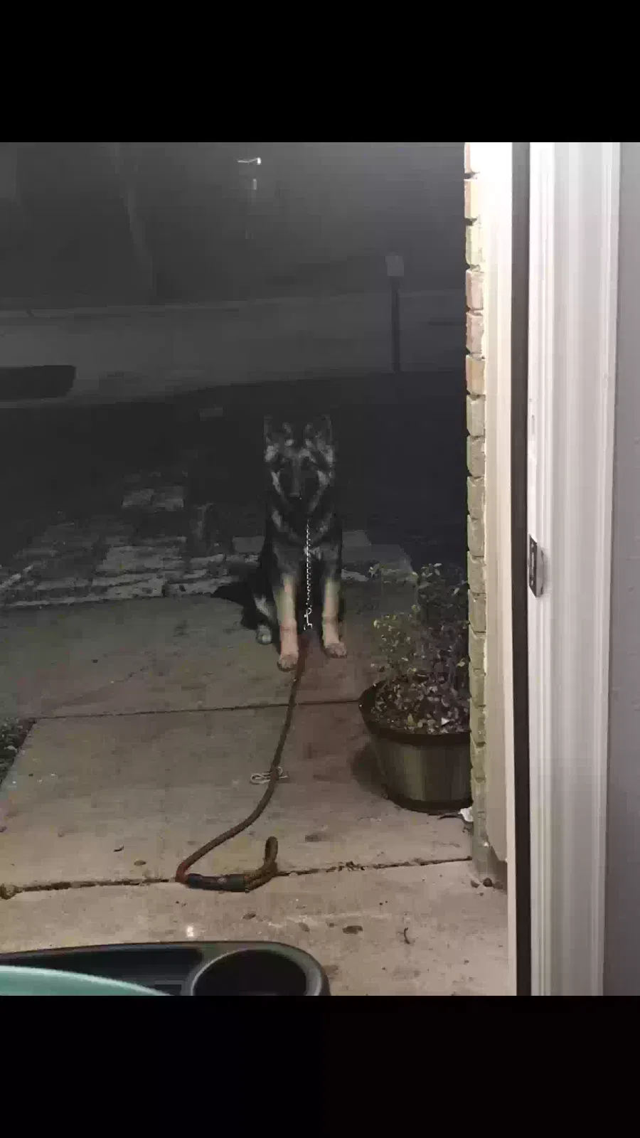 Lost dog in Grand Prairie, TX, 75052