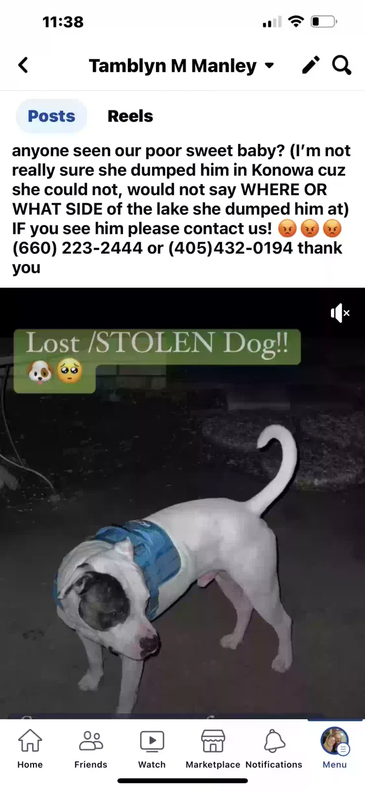 Lost dog in Shawnee, OK, 74801
