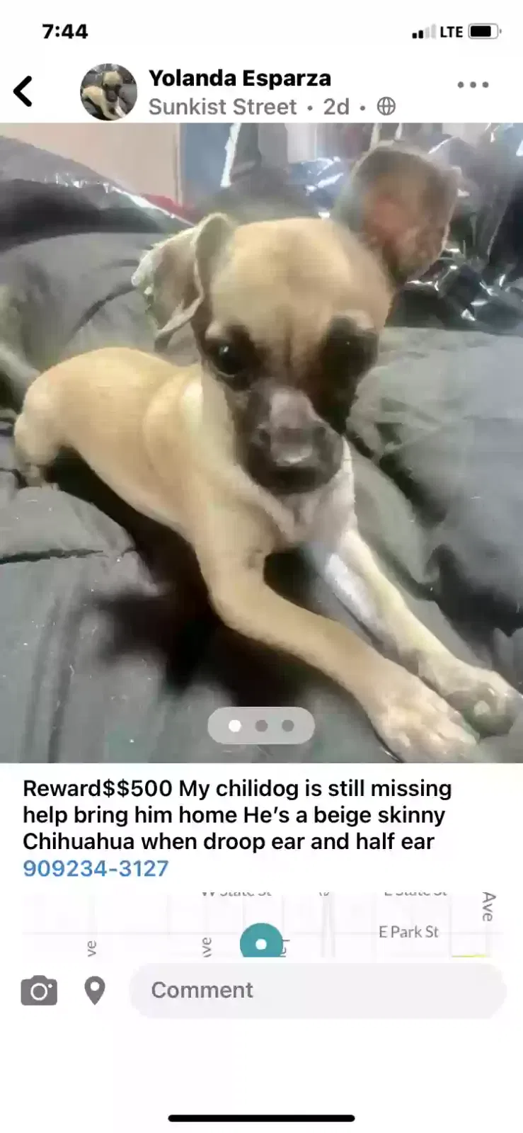 Lost dog in Ontario, CA, 91762