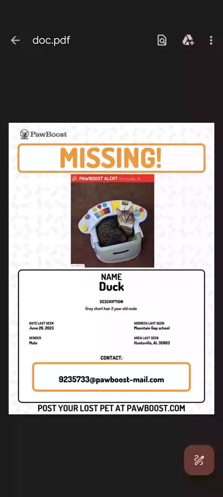 Lost cat in Huntsville, AL, 35803