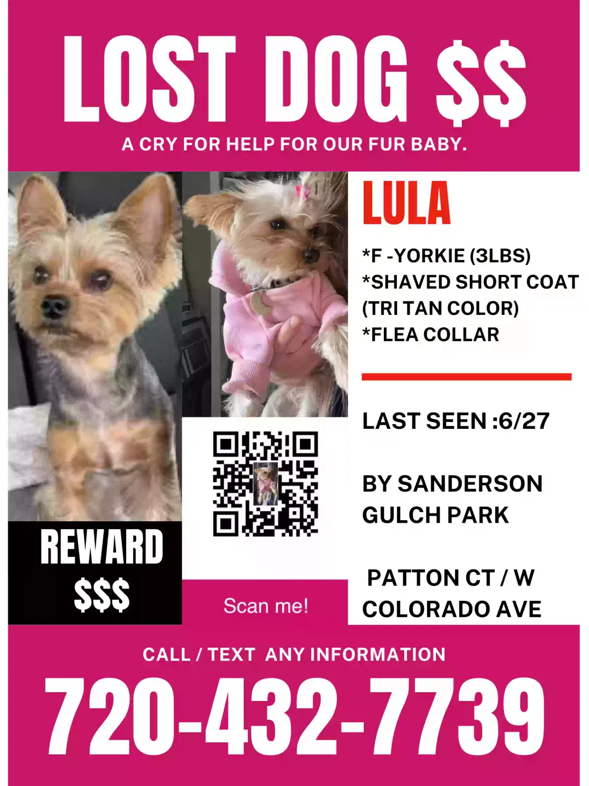 Lost dog in Denver, CO, 80219