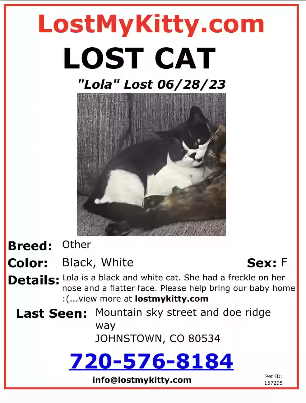 Lost cat in Johnstown, CO, 80534