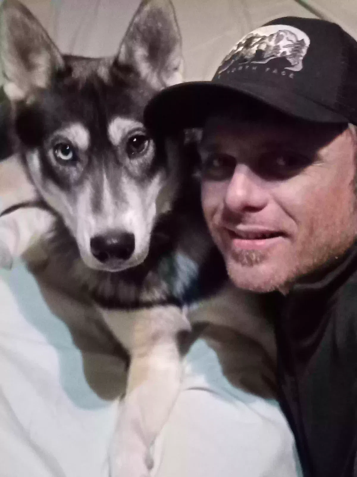 Lost dog in Pensacola, FL, 32506