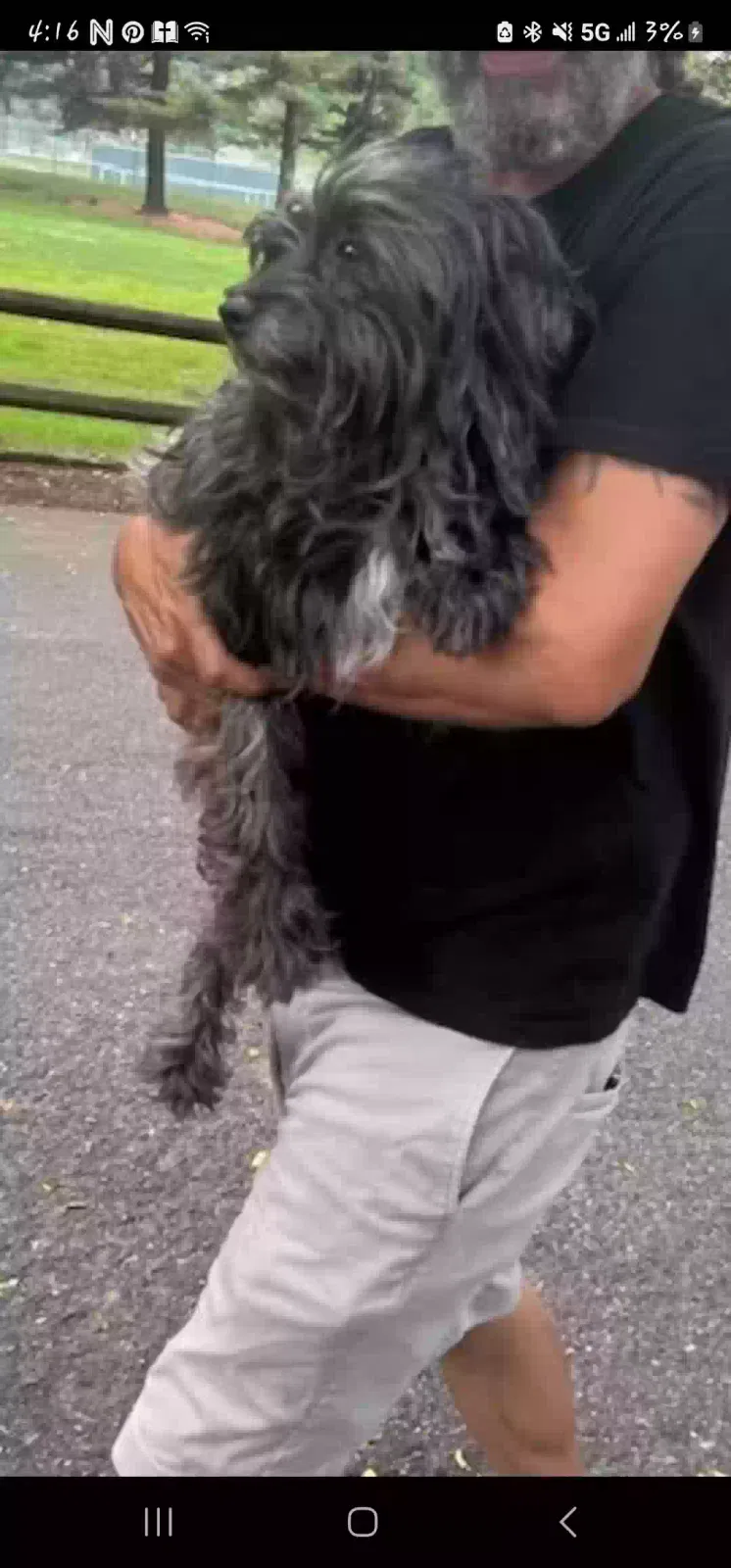 Found dog in Lancaster, PA, 17602