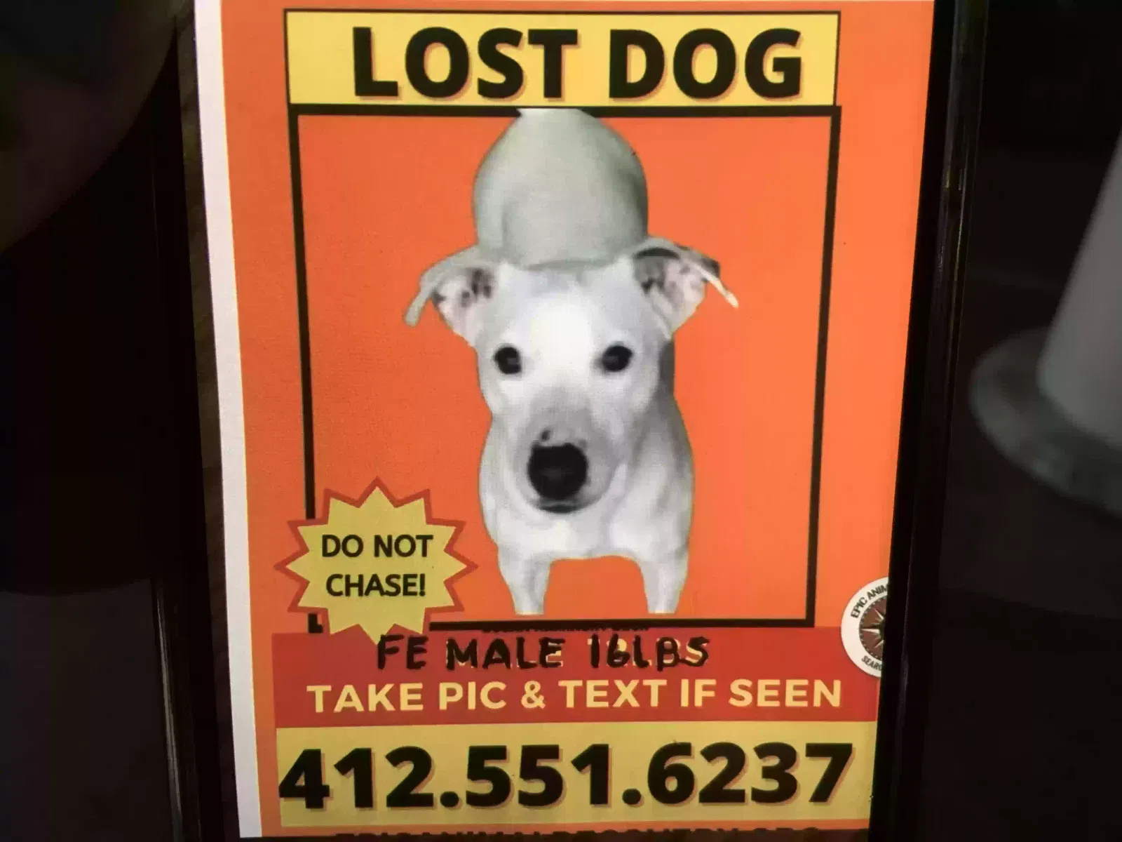 Lost dog in Denver, NC, 28037