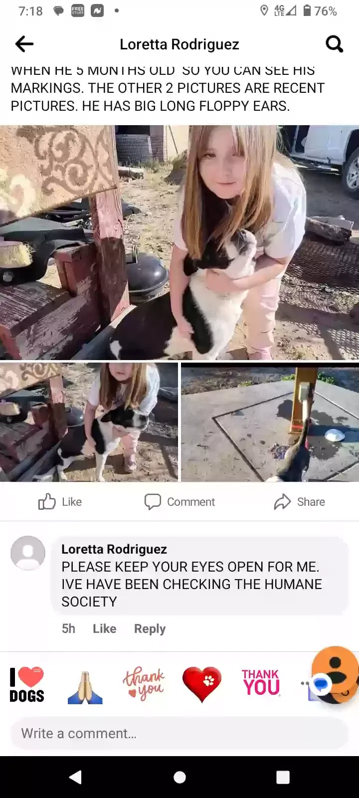 Lost dog in Tucson, AZ, 85735