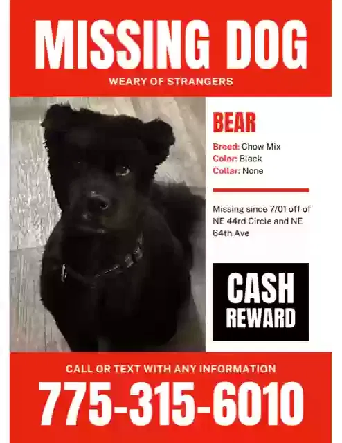 Lost dog in Vancouver, WA, 98683