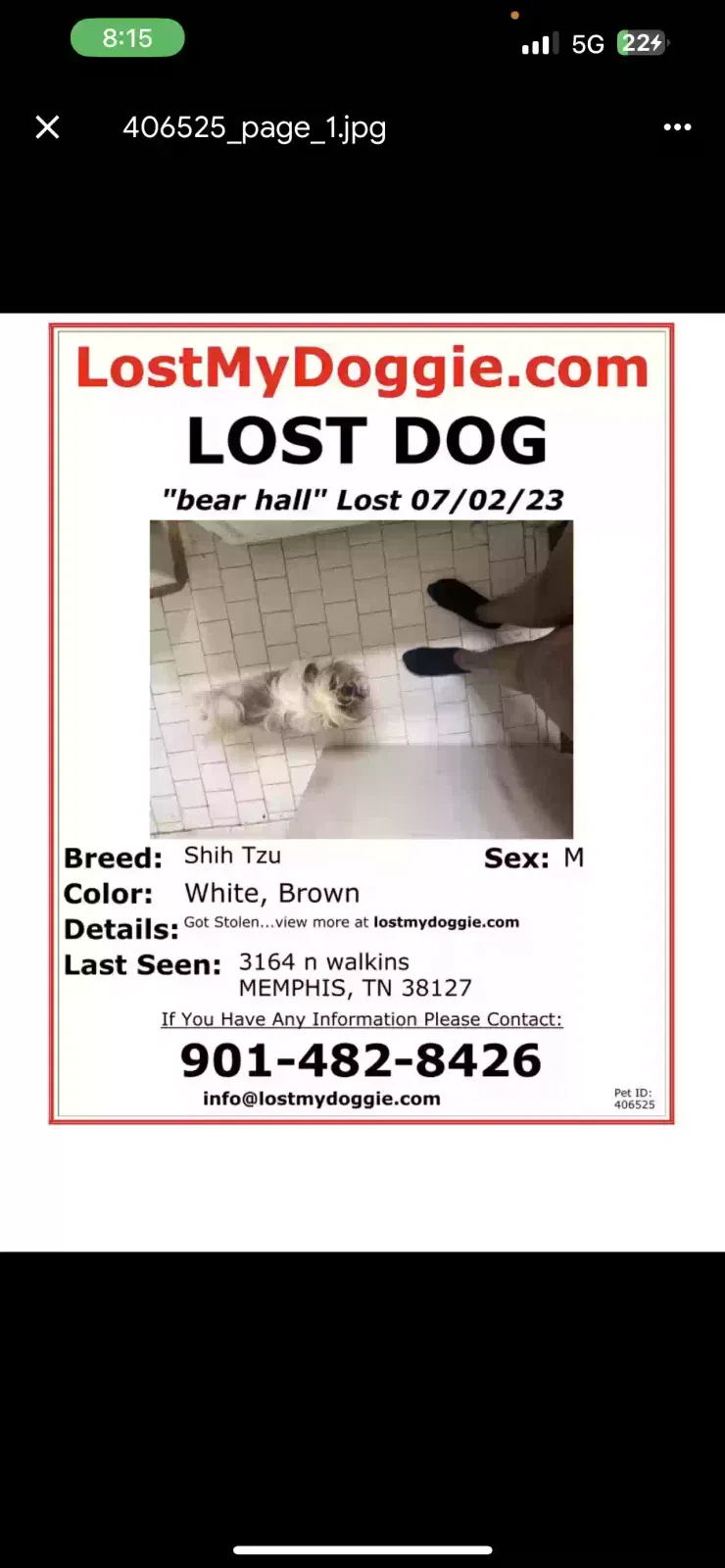 Lost dog in Memphis, TN, 38127