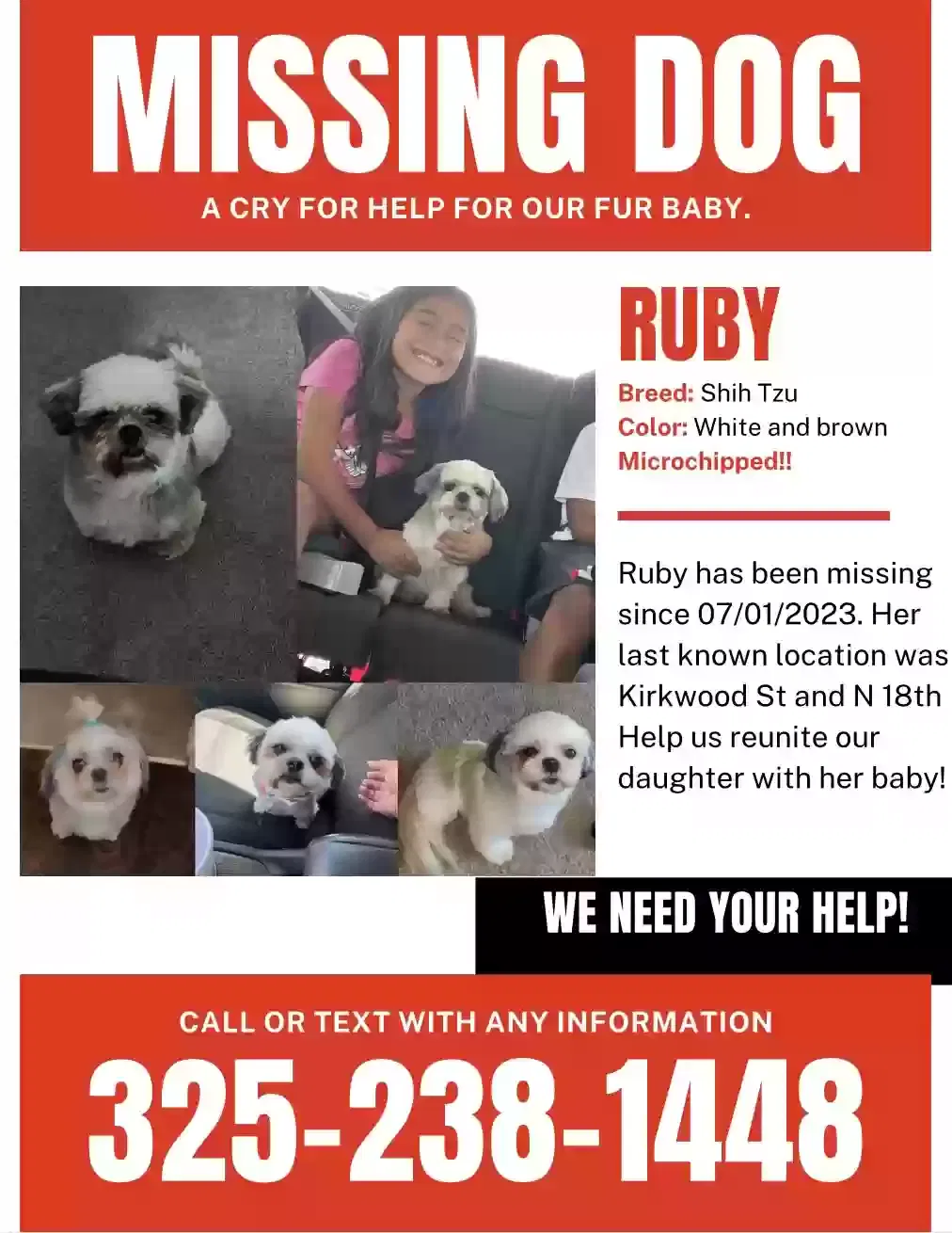 Lost dog in Abilene, TX, 79603