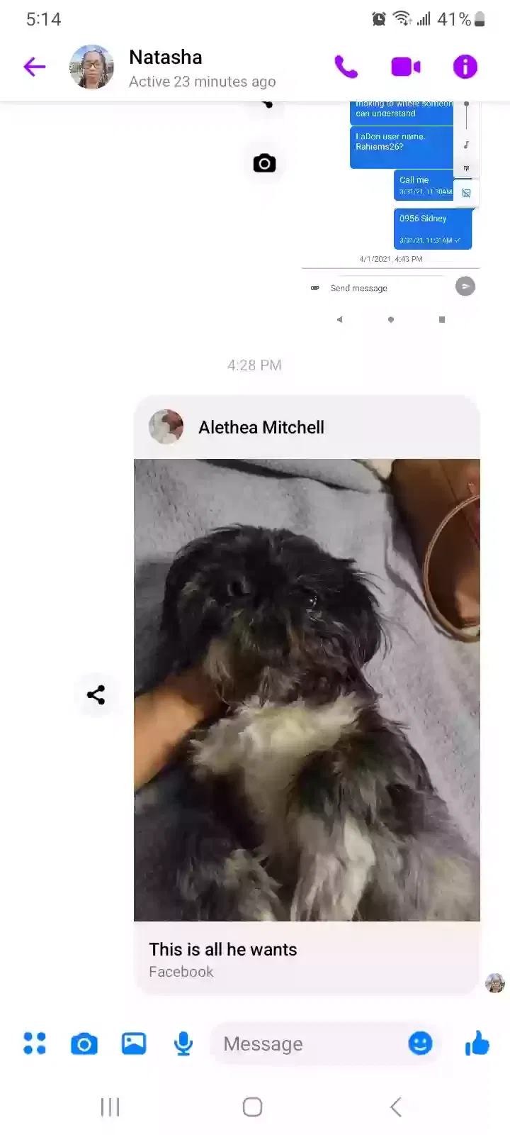 Lost dog in Baltimore, MD, 21217