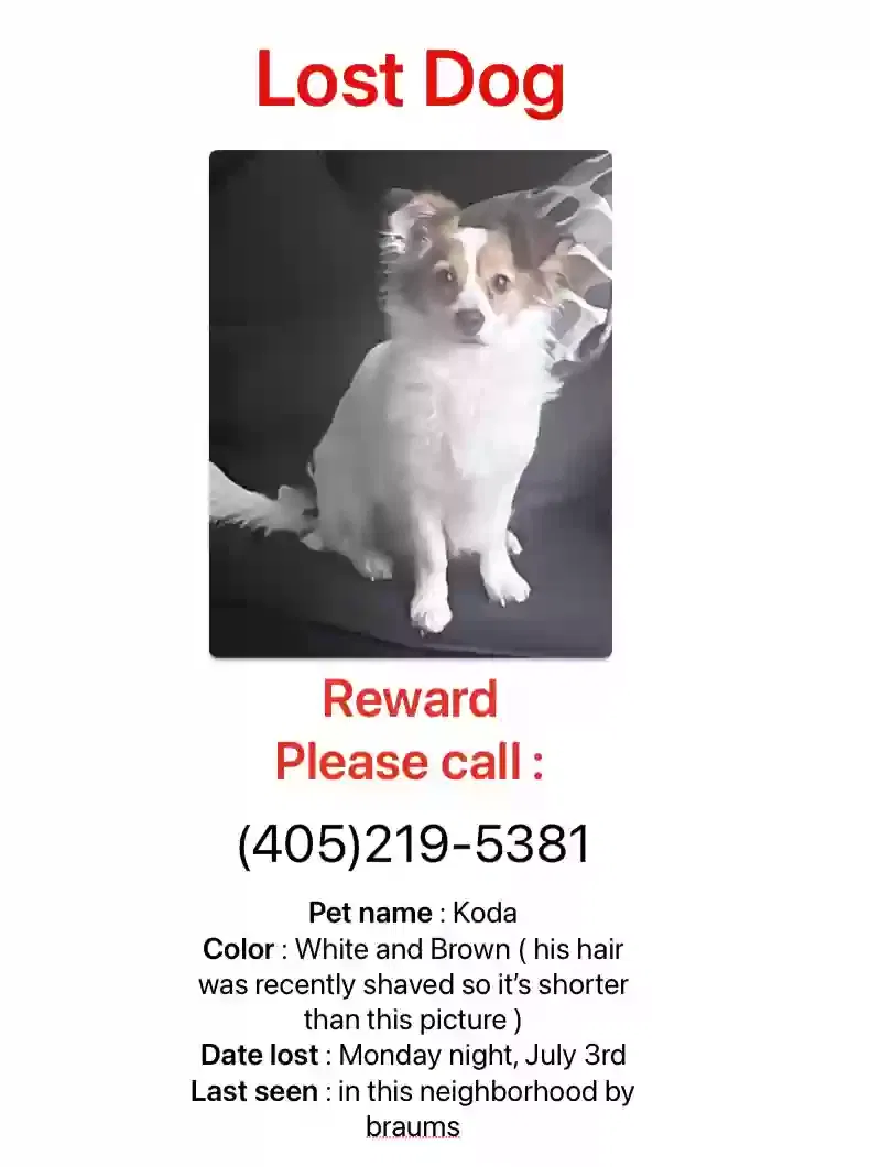 Lost dog in Oklahoma City, OK, 73118