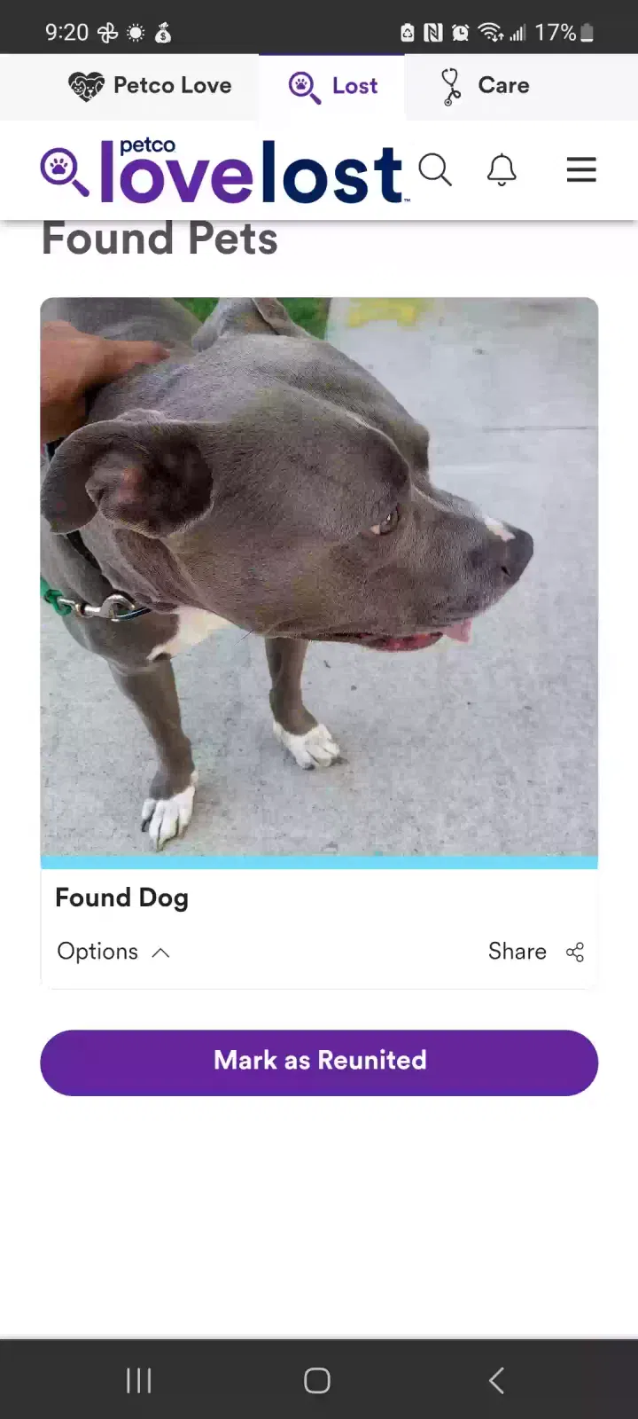 Found dog in Elkhart, IN, 46514