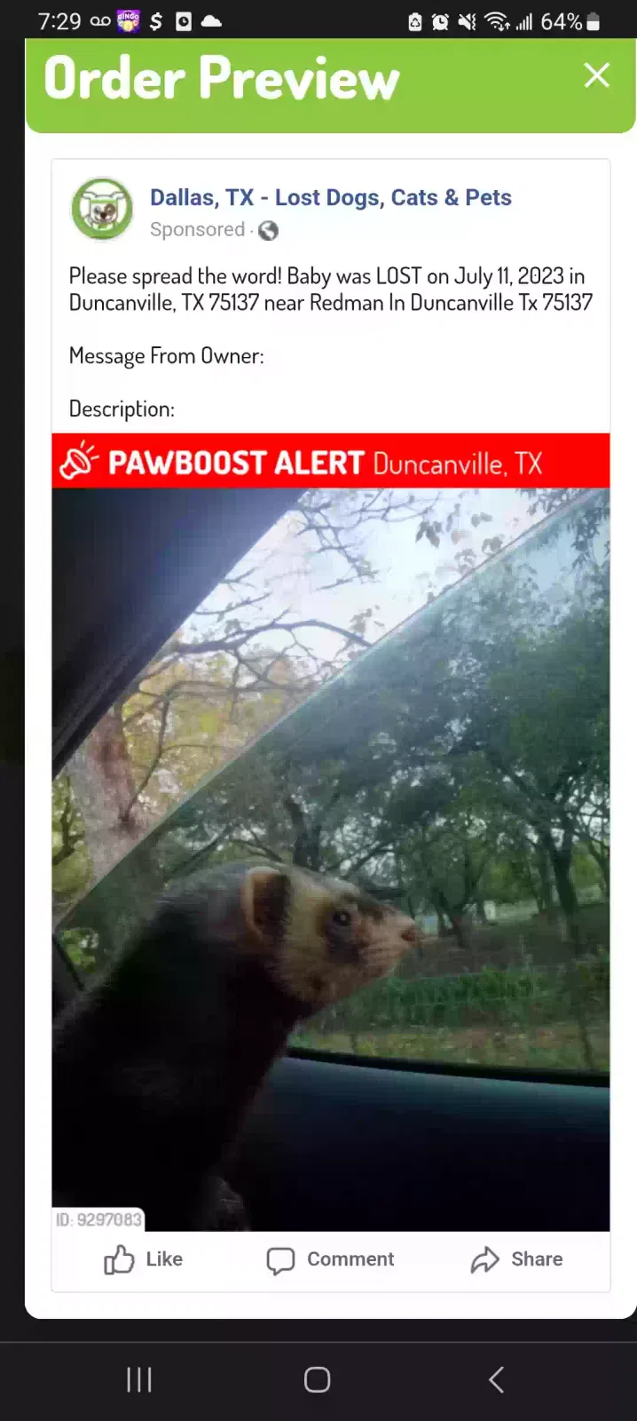 Lost cat in Duncanville, TX, 75137