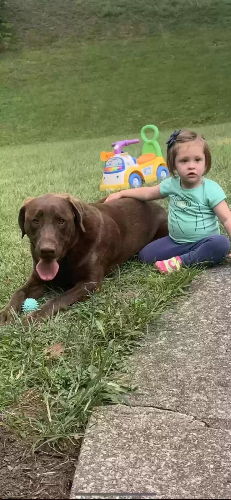 Lost dog in Richmond, KY, 40475